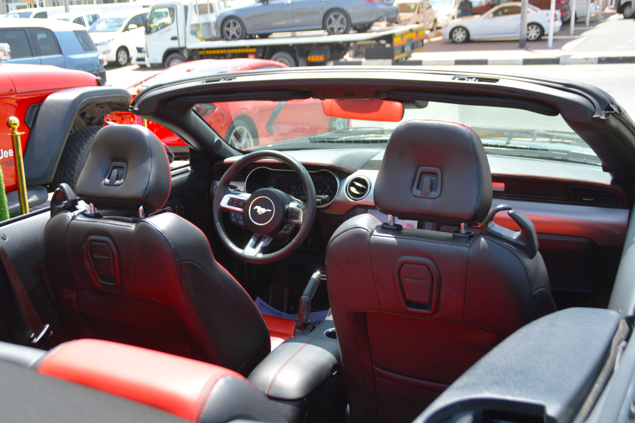 Ford Mustang - Image 3