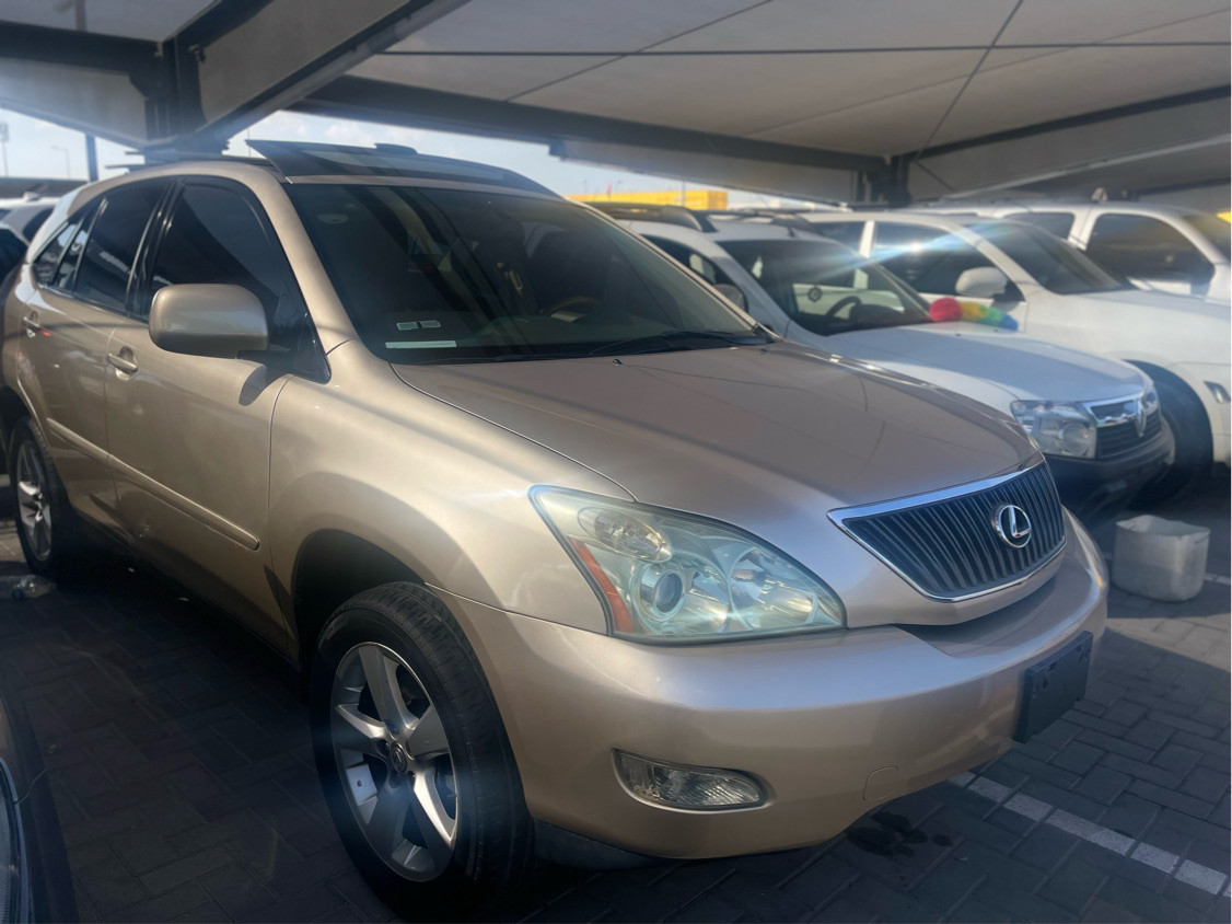 Lexus RX-Series - Image 6