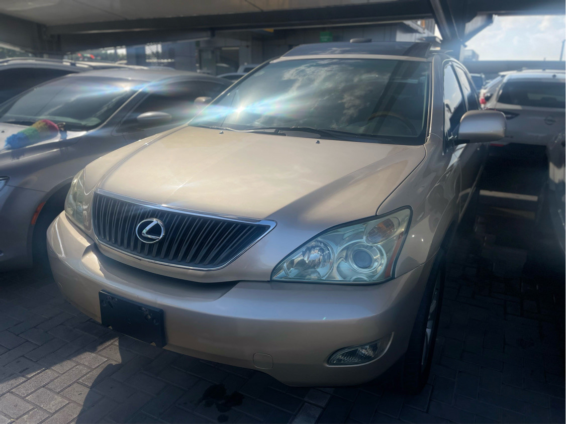 Lexus RX-Series - Image 3