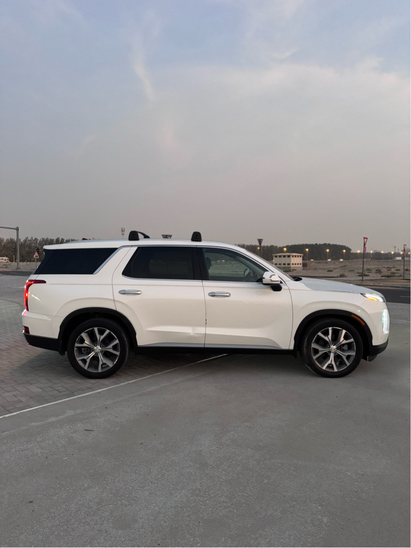 Hyundai Palisade - Image 3