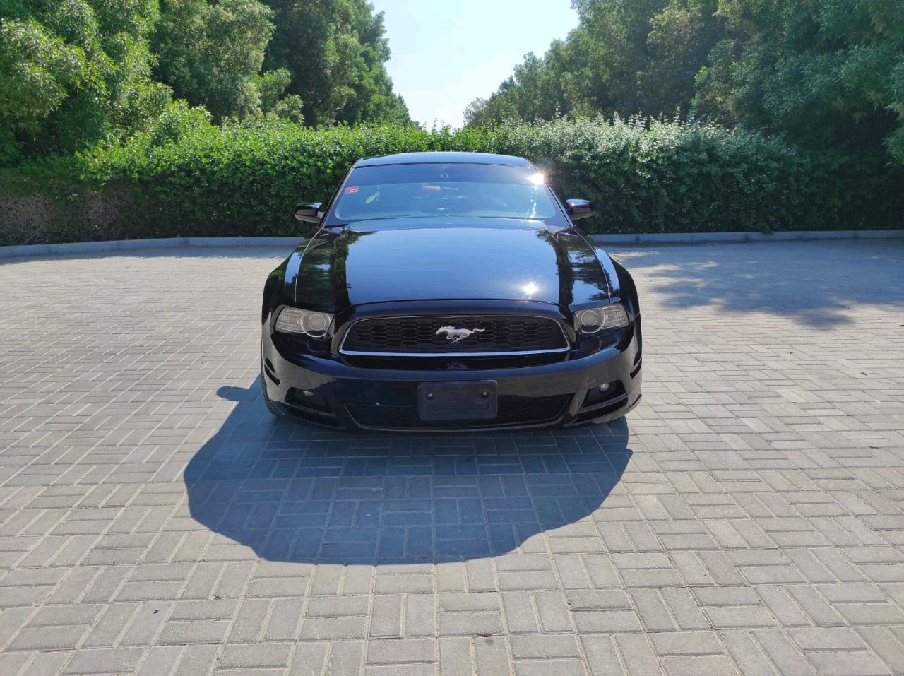Ford Mustang - Image 14