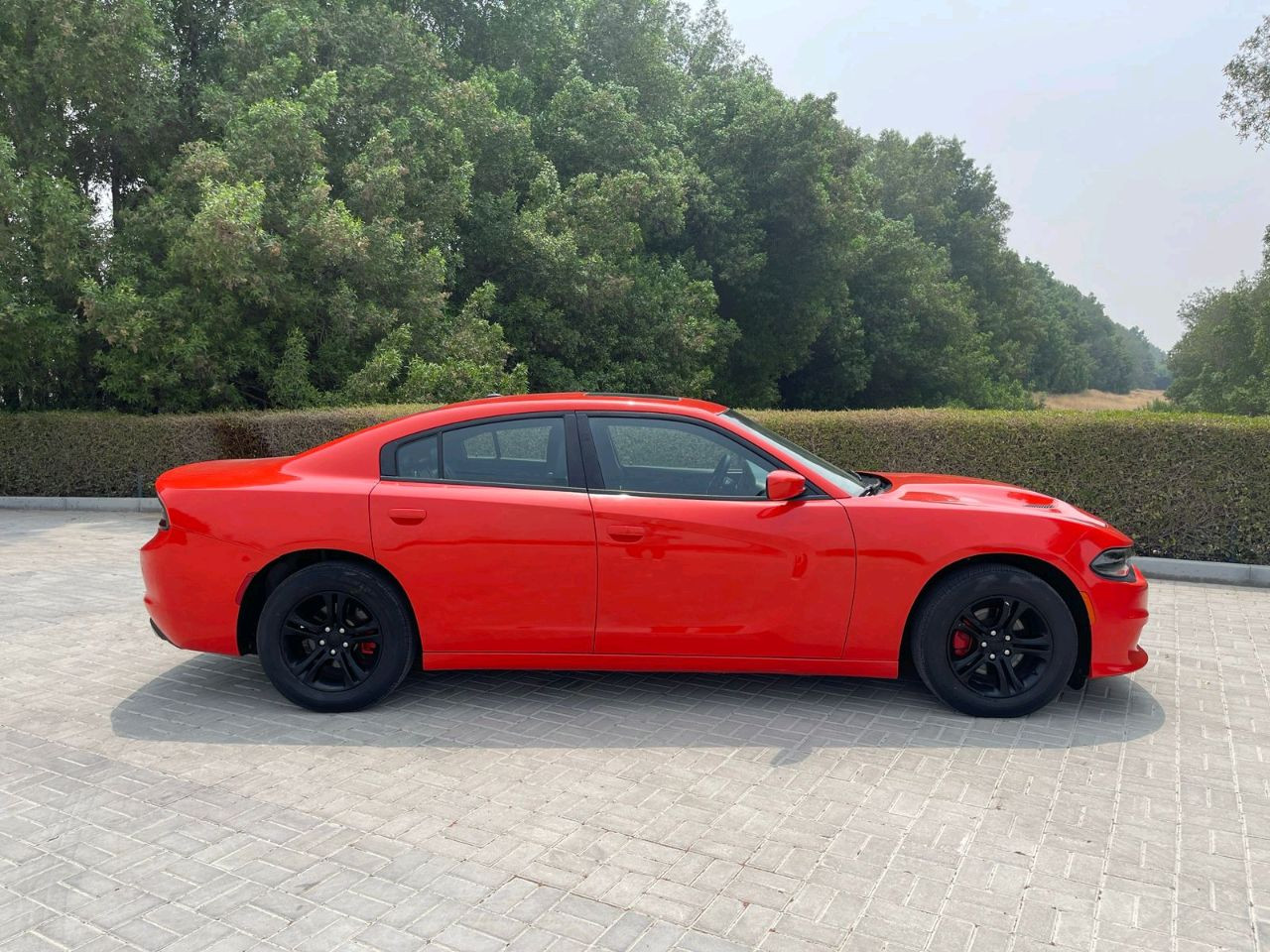 Dodge Charger - Image 4