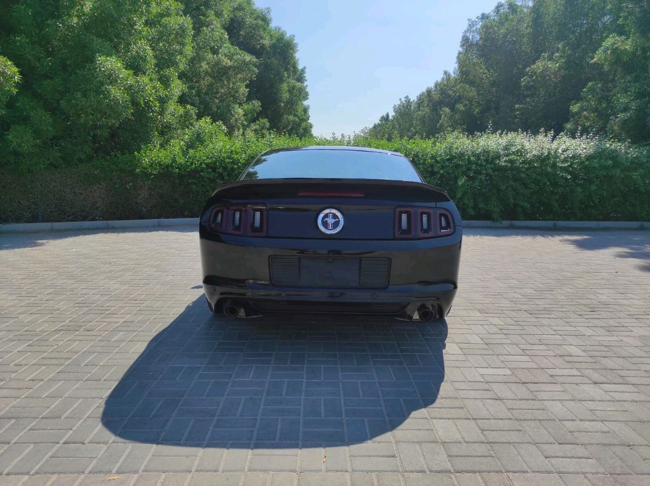 Ford Mustang - Image 5