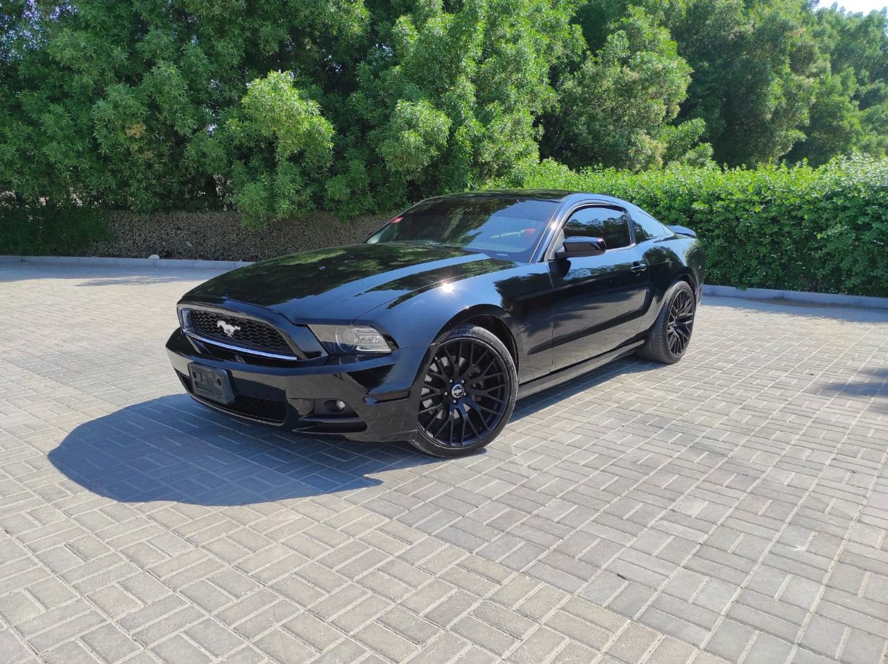 Ford Mustang - Image 15