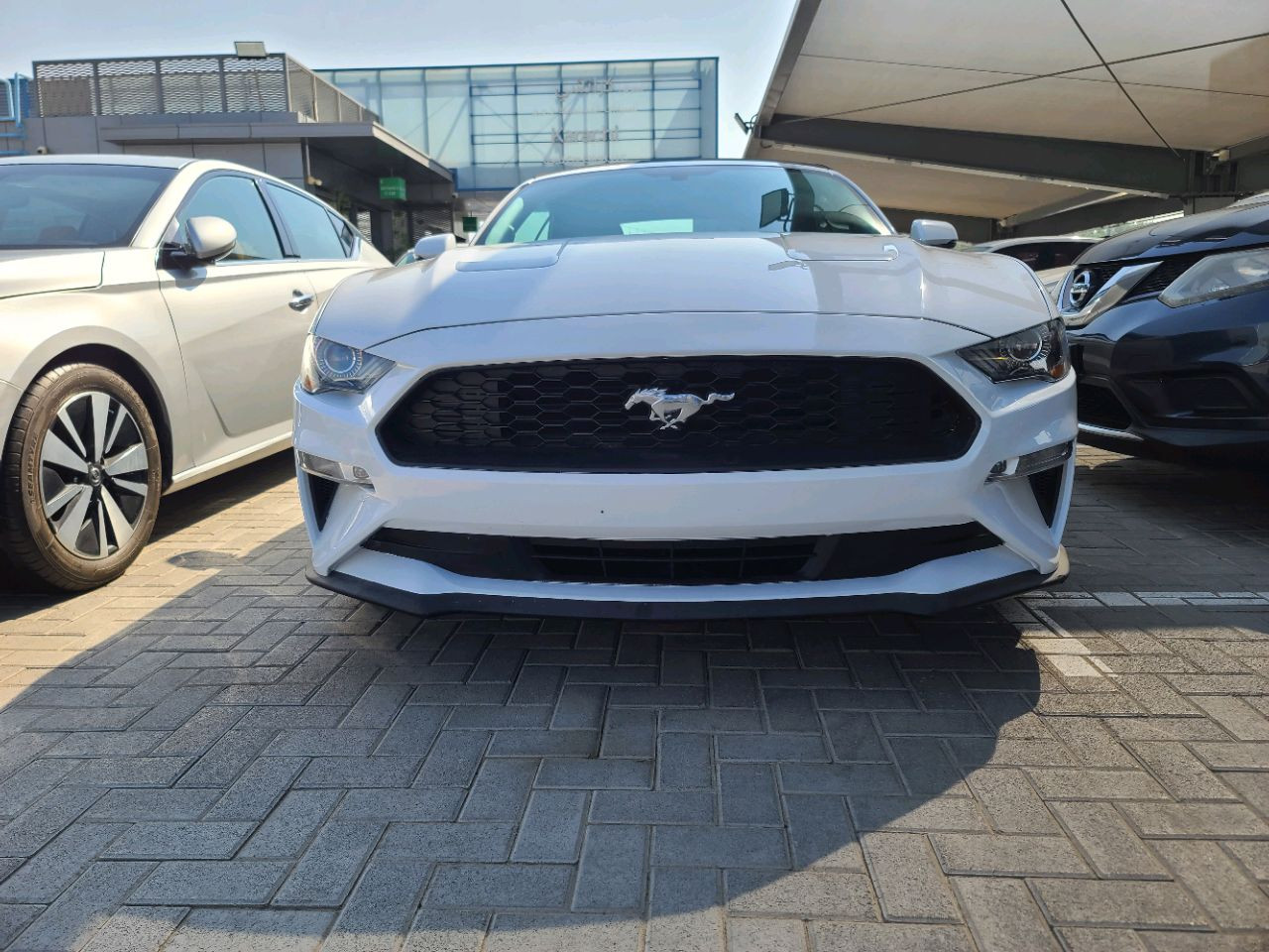 Ford Mustang - Image 3