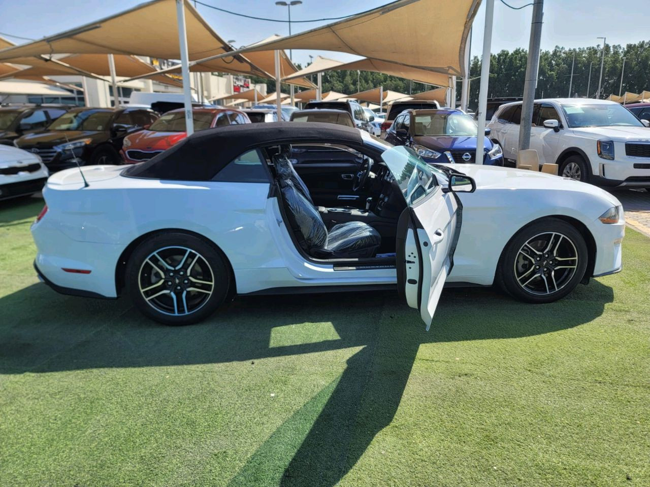 Ford Mustang - Image 12