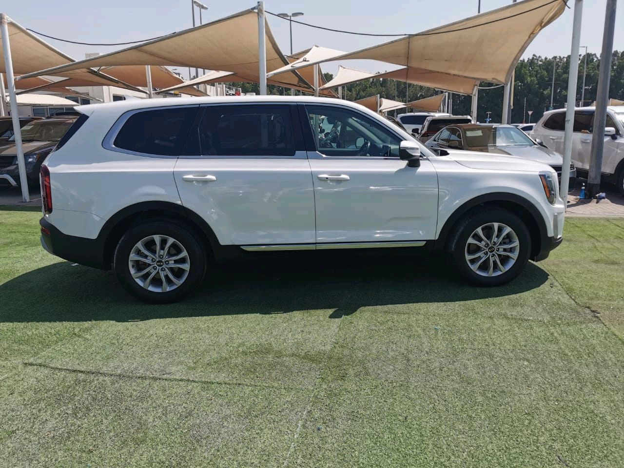 KIA Telluride - Image 6