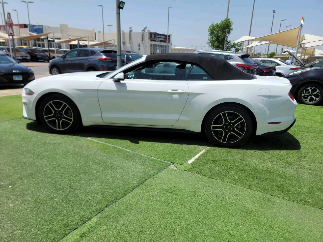 Ford Mustang - Image 4