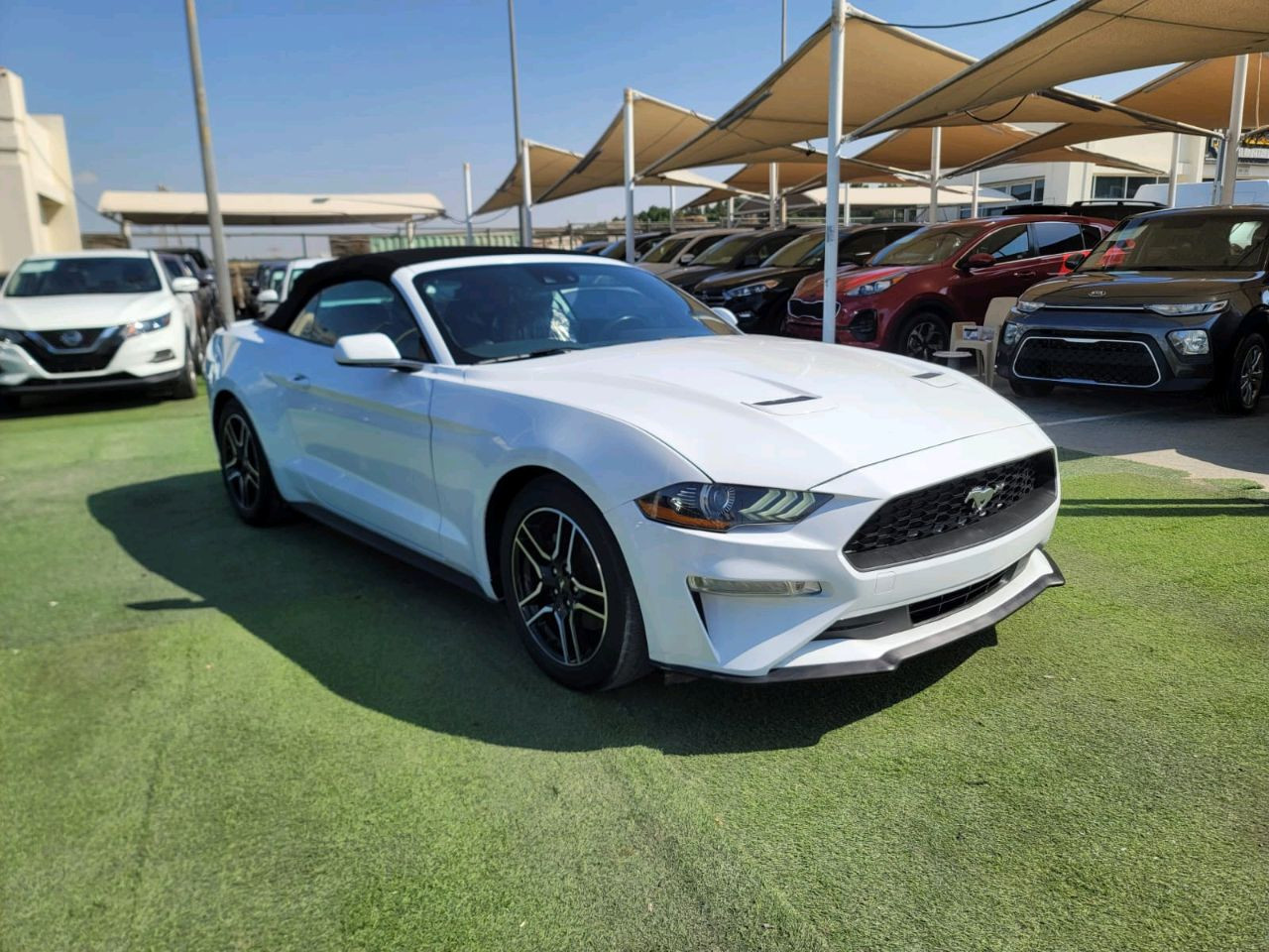 Ford Mustang - Image 3