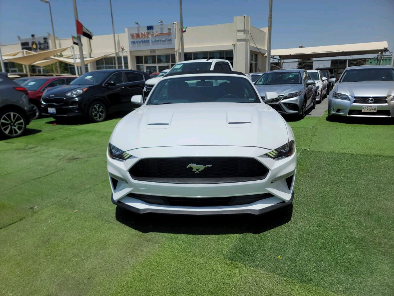 Ford Mustang - Image 10