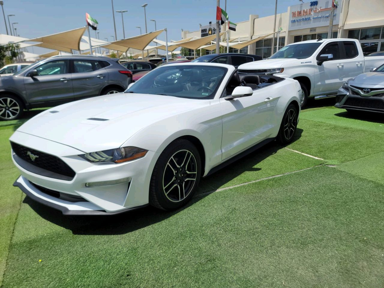 Ford Mustang - Image 3
