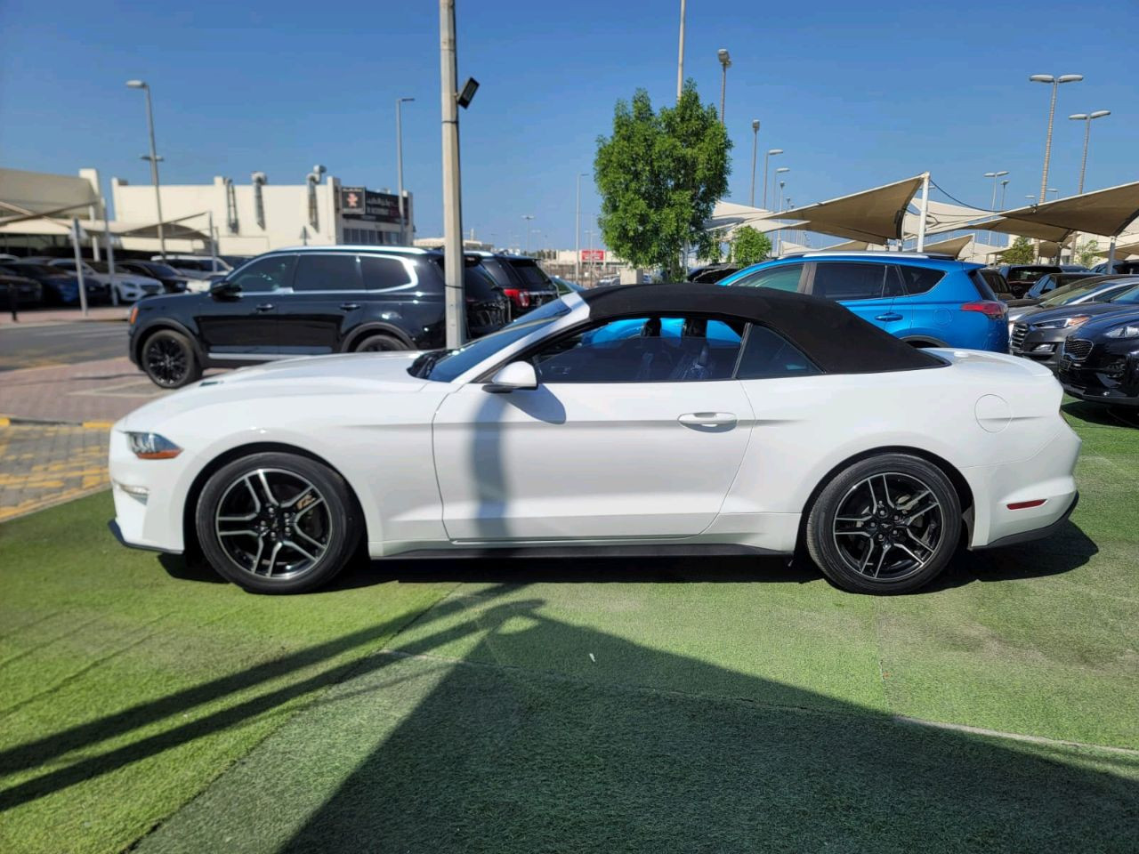 Ford Mustang - Image 11
