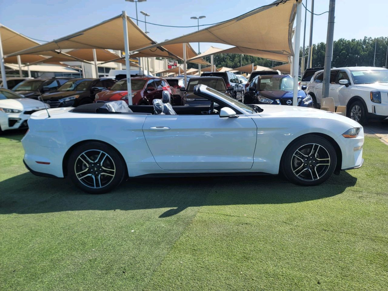 Ford Mustang - Image 5