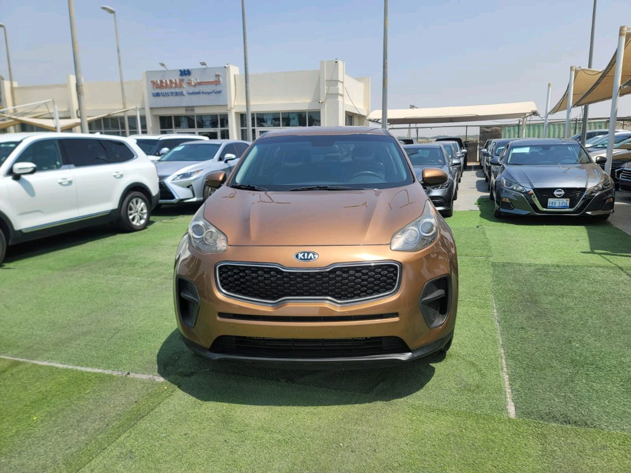 KIA Sportage - Image 10