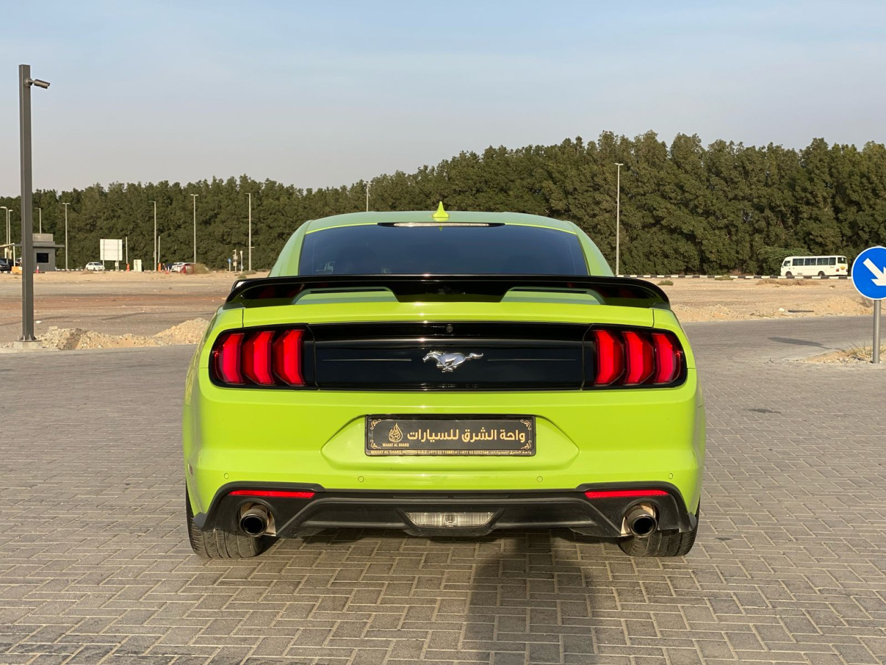 Ford Mustang - Image 8