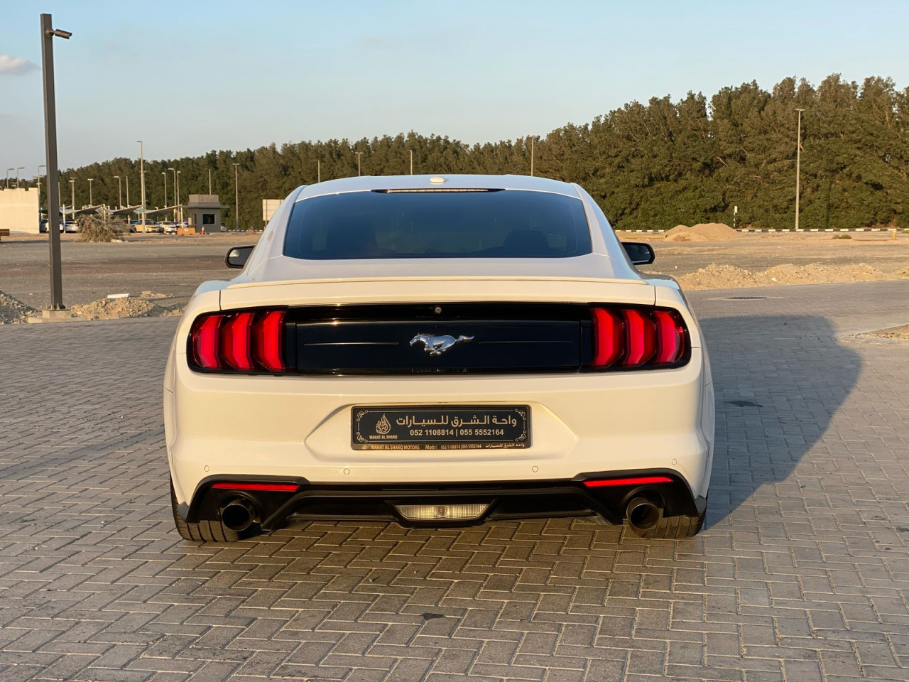 Ford Mustang - Image 5