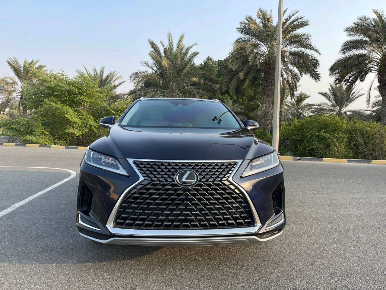 Lexus RX-Series - Image 4