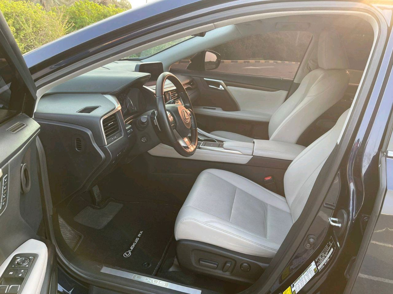 Lexus RX-Series - Image 10