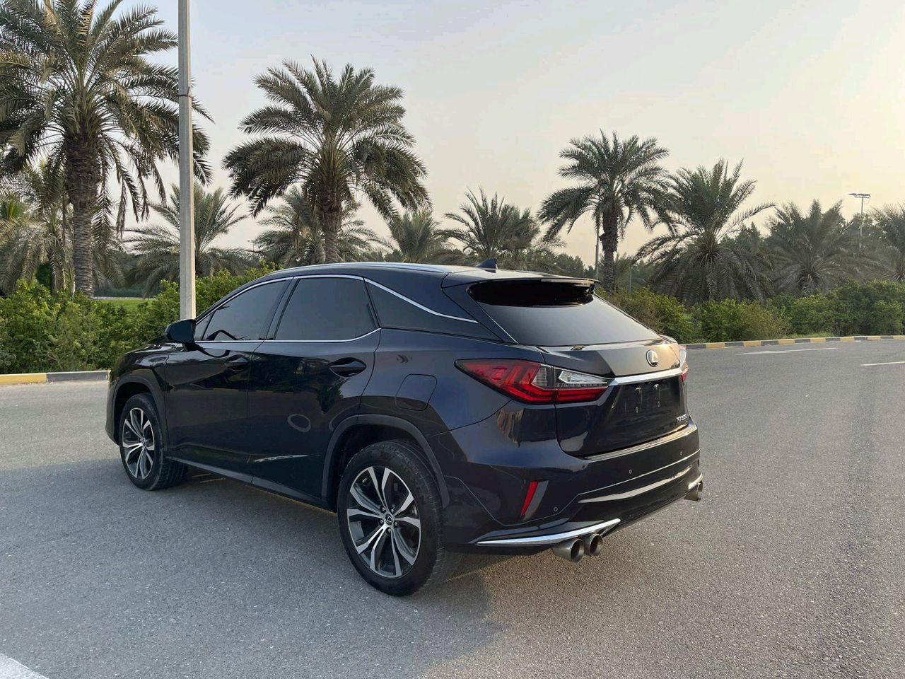Lexus RX-Series - Image 6