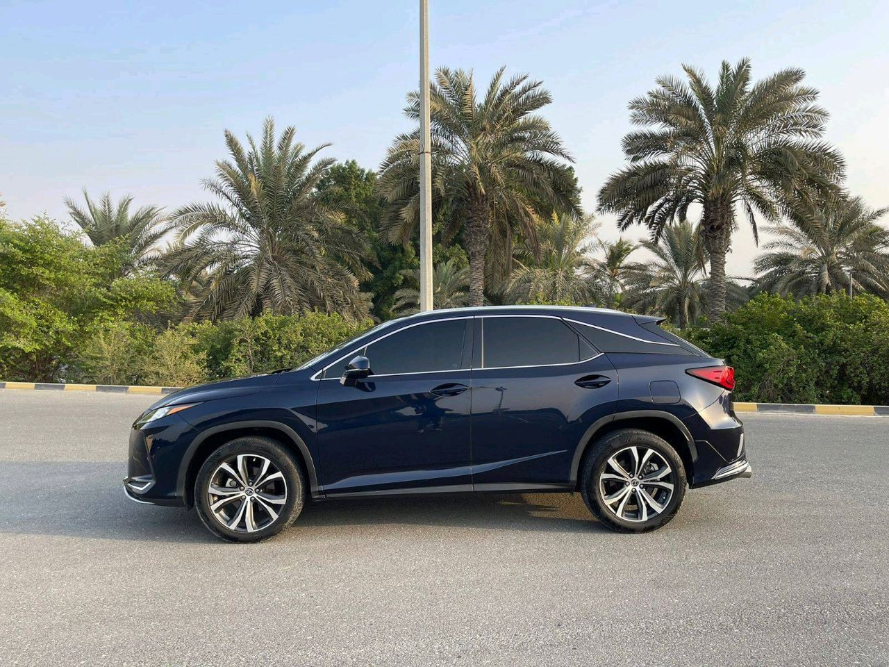 Lexus RX-Series - Image 9