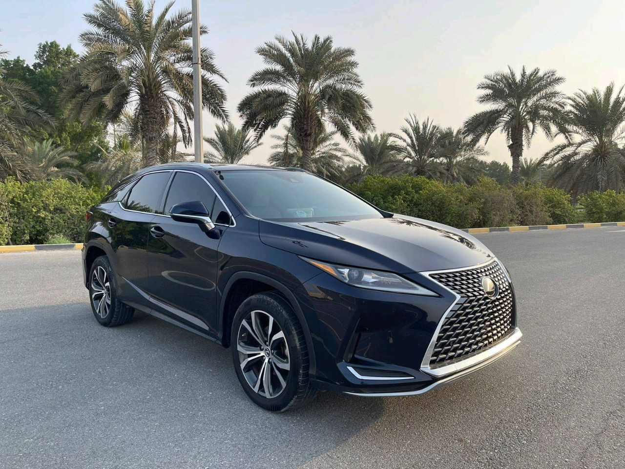 Lexus RX-Series - Image 5