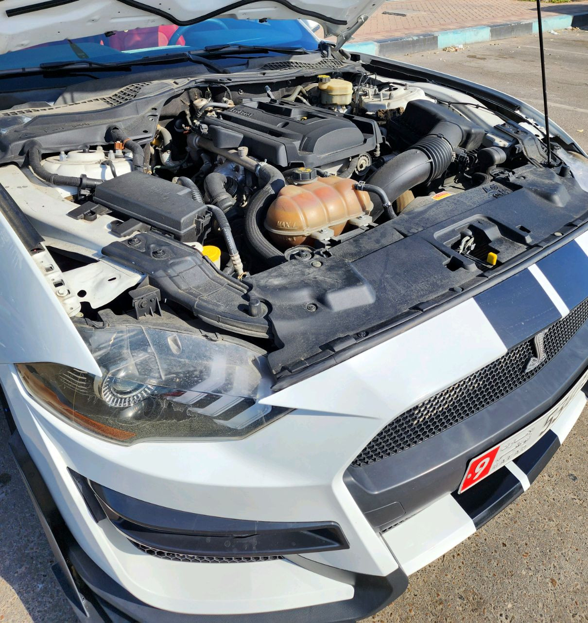 Ford Mustang - Image 9