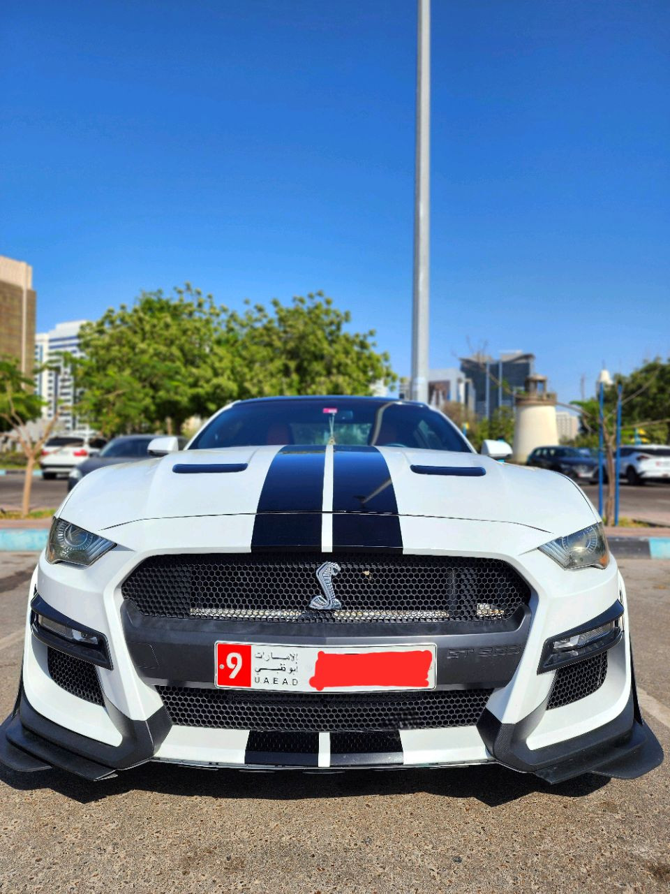 Ford Mustang - Image 12