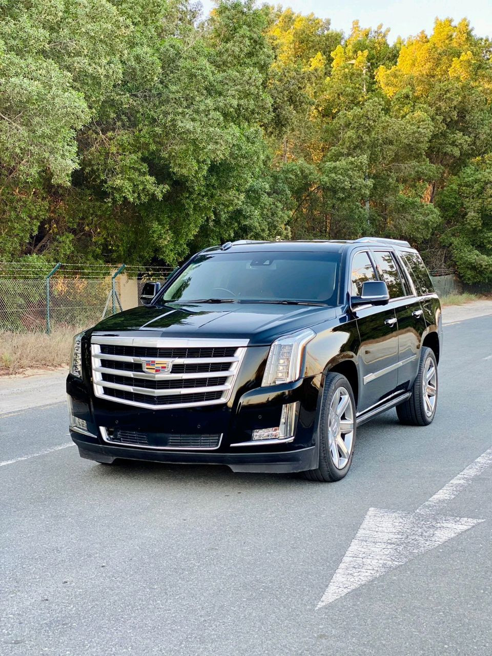 Cadillac Escalade - Image 11