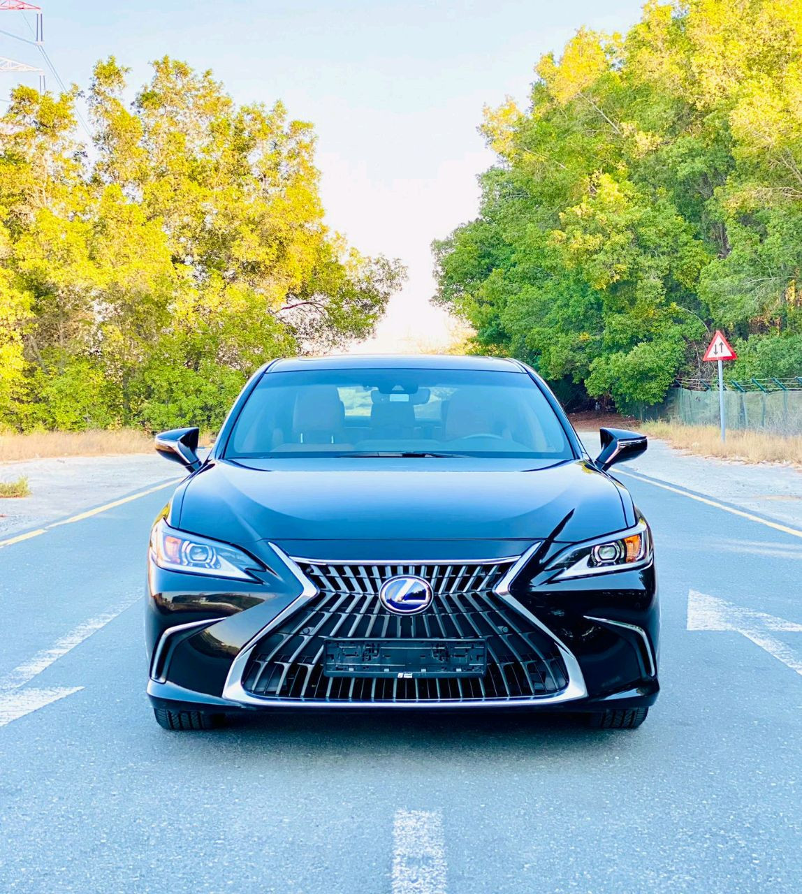 Lexus ES-Series - Image 12