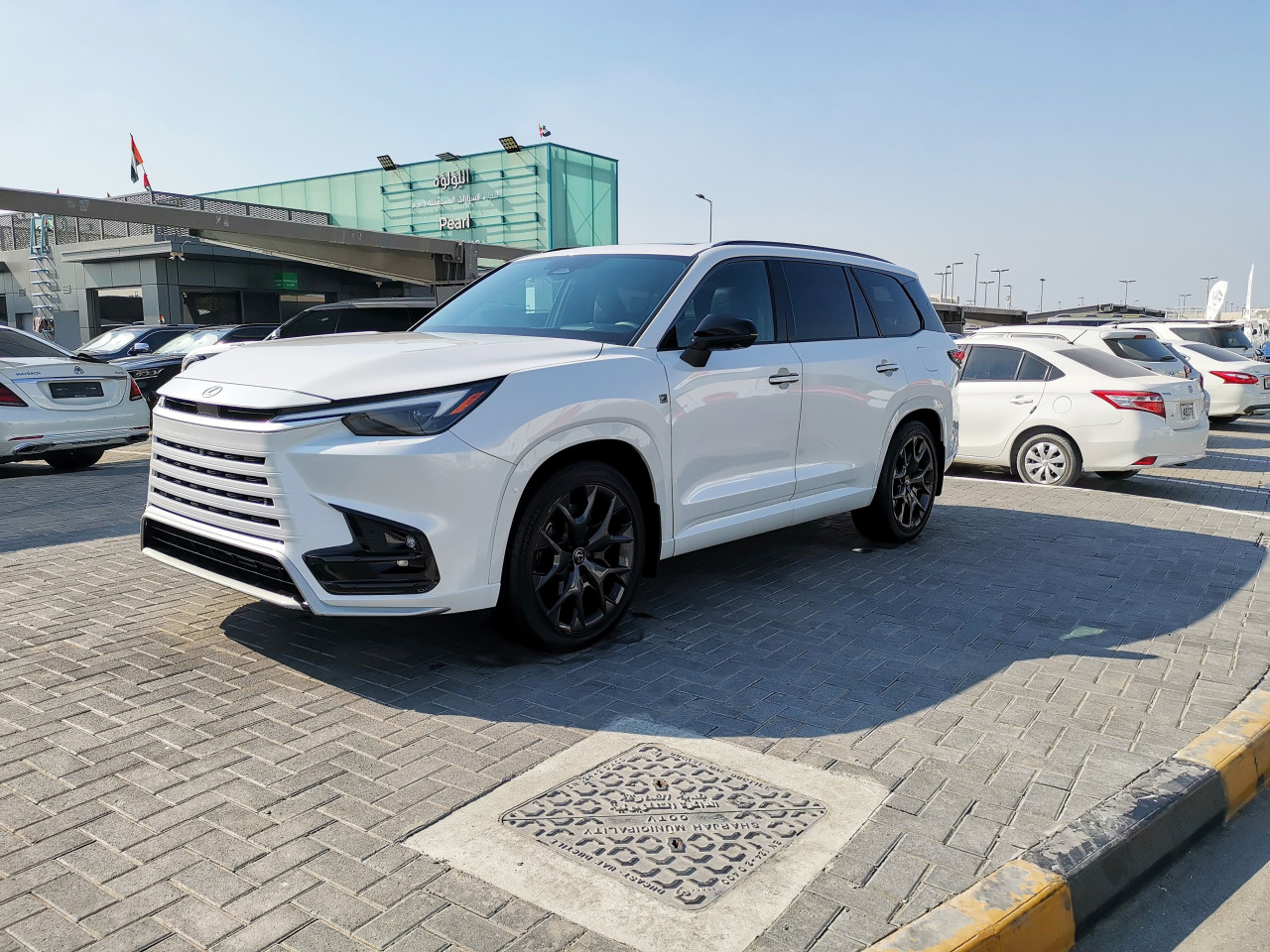 Lexus RX-Series - Image 3